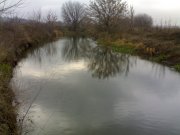 27112010764.jpg