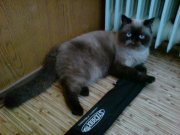 DSC02490.jpg