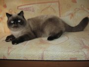 Изображение 009.jpg