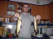 DSCN6542.jpg