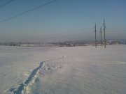 Фото-0010.jpg