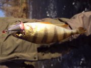 DSC02787.JPG