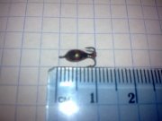 08122010077.jpg