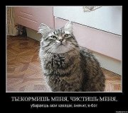 x_ca3f25b2.jpg