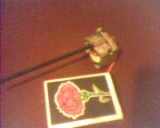 IMG1335A.jpg