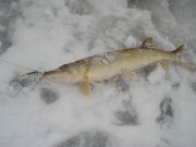DSC05593.jpg