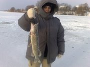 17122010459.jpg