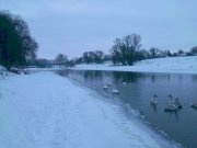 IMAGE_025.jpg