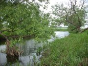 DSCN3500.jpg