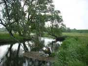 DSCN3502.jpg