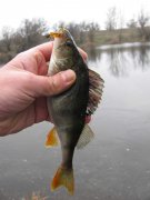 IMG_1658.jpg
