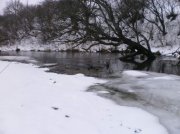 PC250229.jpg