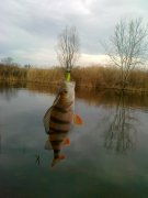 25122010038.jpg
