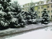 DSC04208.jpg