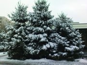 DSC04216.jpg