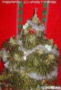 1262272071_novogodnie-prikoly-(www.votrube.ru)6.jpg