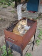 DSC00299.jpg