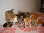 DSC00349.jpg