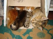 DSC00377.jpg