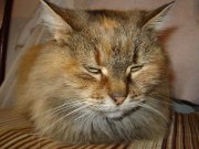 DSC00040.jpg