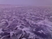 030120111570.jpg