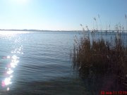 DSC00657.jpg