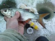DSC02116.jpg