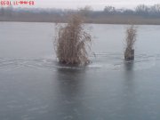 DSC00206.JPG