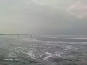 DSC04248.jpg