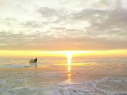 DSC04235.jpg