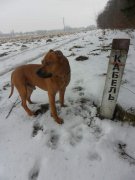 SAM_0474.jpg