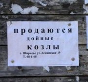 1294686373_1271222005_podborka_72.jpg