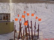 DSC00250.JPG