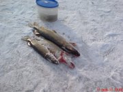 DSC00244.JPG