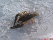 DSC00240.JPG