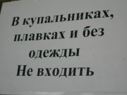 1294783599_20.jpg