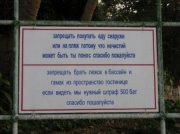 1294783650_25.jpg