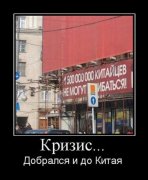 1294583106_13.jpg