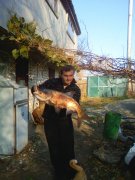 PIC-0145.jpg