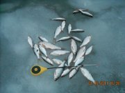 Всяке разне село 007.jpg