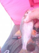 DSC01513.jpg