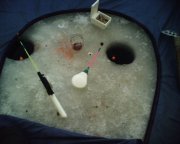 AK000081.JPG
