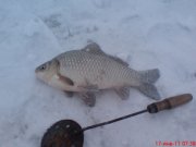 DSC00272.JPG