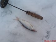 DSC00257.JPG