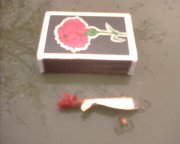 IMG1359A.jpg