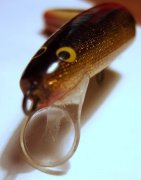 DSCF5191.jpg