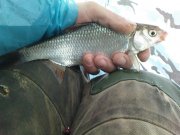 DSC04286.jpg