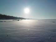 DSC02393.jpg