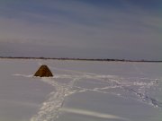 220120111603.jpg