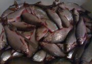220120111604.jpg